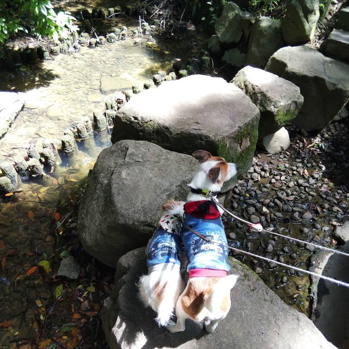 9f7fec9e ae1c 4ff4 b55e 531139869b33 1526108488666