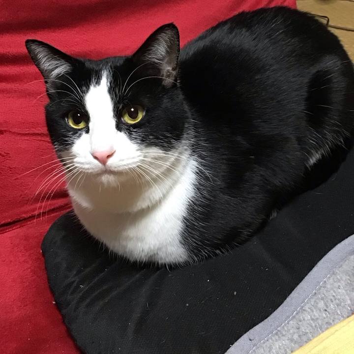 9f800210 62e6 4472 ae38 e98df80f4230 1675173317177