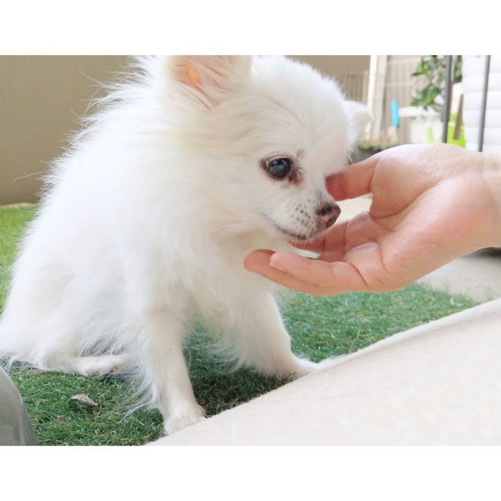 9f801532 19dd 4ae9 836a 667d49eae1da 1687049772683