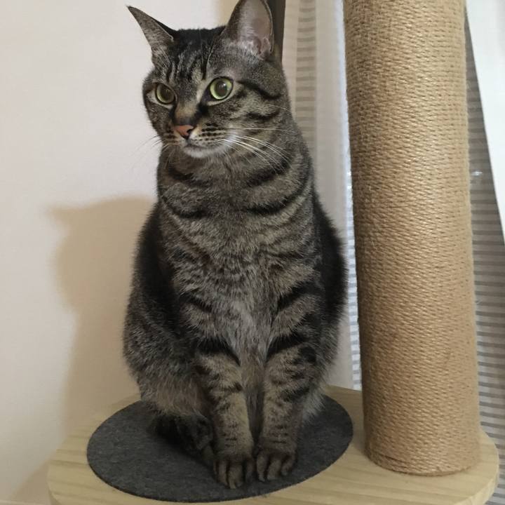 9f8038bc 865b 4af2 800a 733d98aff79e 1582198336175