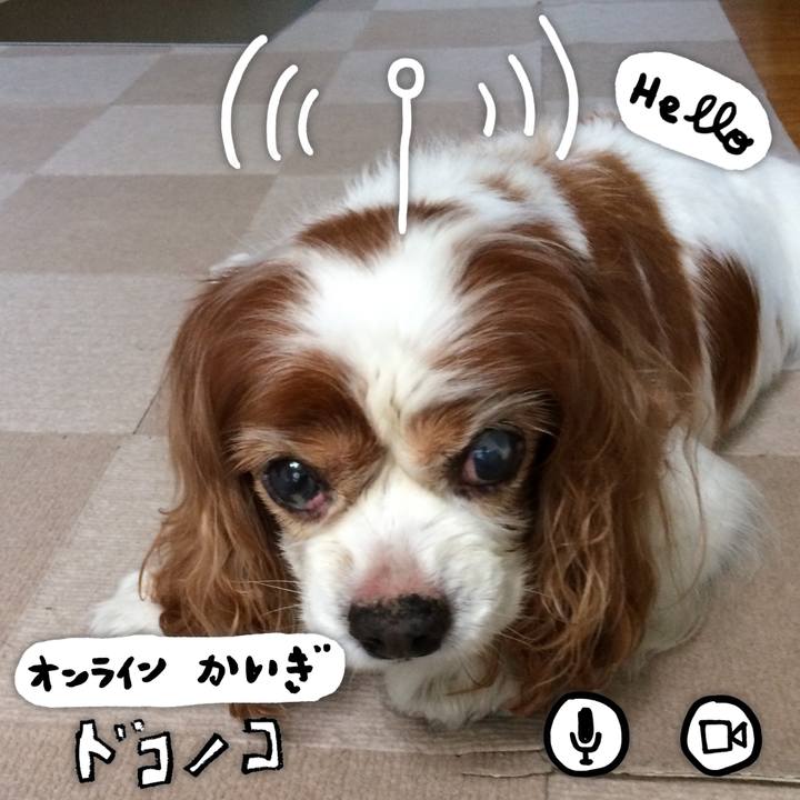 9f804aa2 fe24 4885 bb95 6cffc1098d34 1590702406849