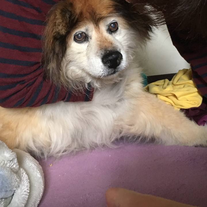 9f806224 ab2f 4ecb b67d 931725635475 1557294515670