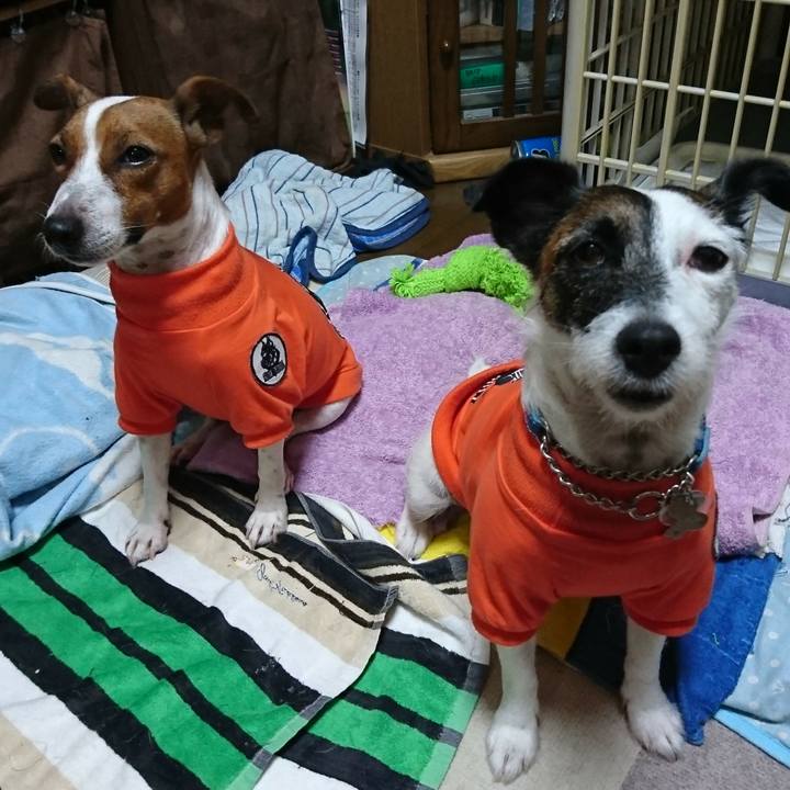 9f80bc69 d00a 4403 9daf d74843d60e90 1570882159521