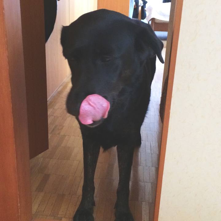 9f80cbd9 9b37 473a bf3e b135525387ac 1537057015637