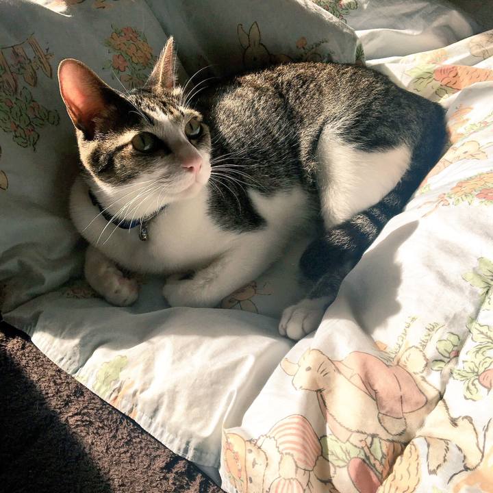 9f80e823 08d9 4641 8ca7 80e870405b62 1509322678995