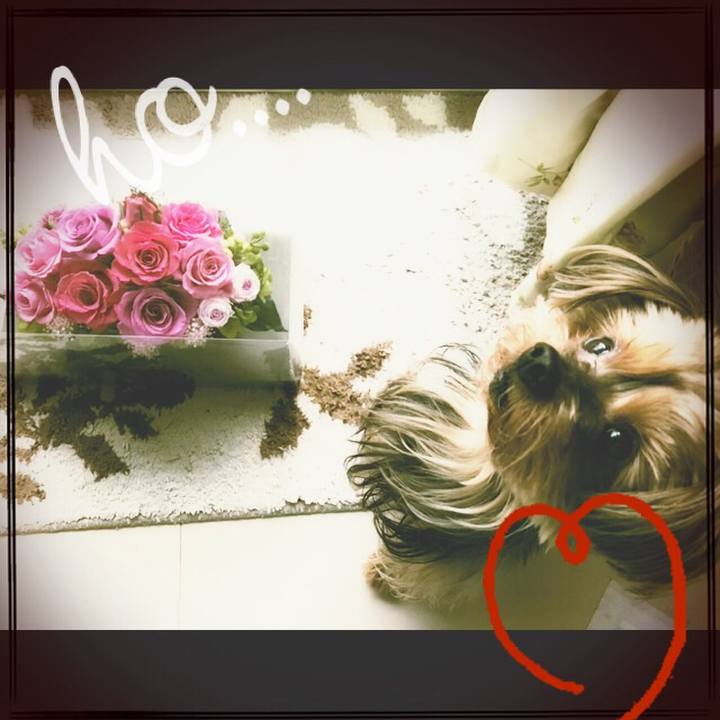 9f8127e2 0794 4d28 81c2 d87908a044ab 1509664659961