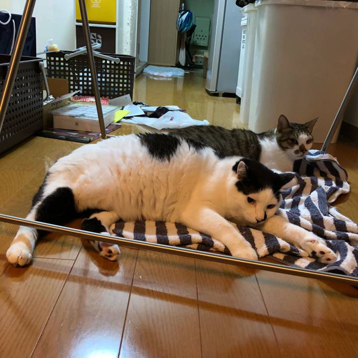 9f81296f 12f4 479e 87f7 52a7d9e8ae1b 1536852426209