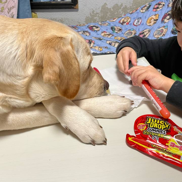 9f813dcf 2873 4b47 969a 81023ab7dfe0 1644332720925