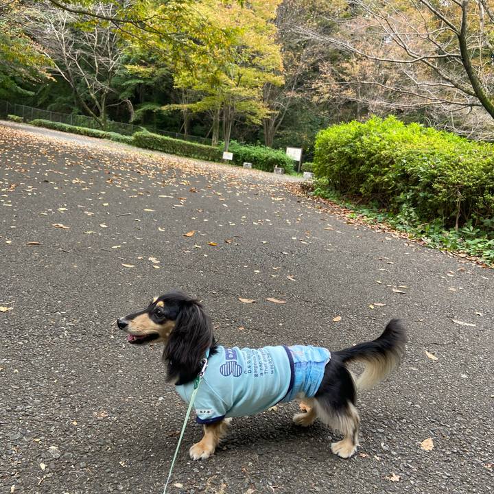 9f8144d5 e729 49b4 8bf3 579a906f663e 1729985902677