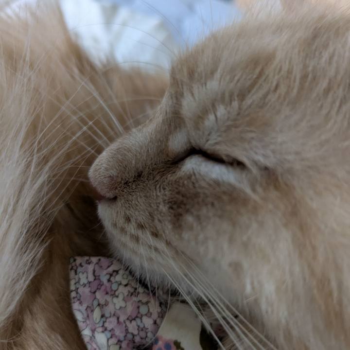 9f814b07 d166 4627 8adb 43975afbedca 1760142830561