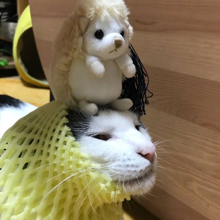 9f814c5b 5d77 4987 8839 a4819497d8b4 1538483731136