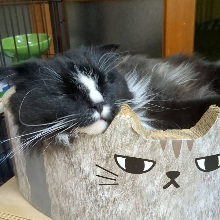 9f814cad 989a 4ab5 a946 151cc849feb2 1683453647237