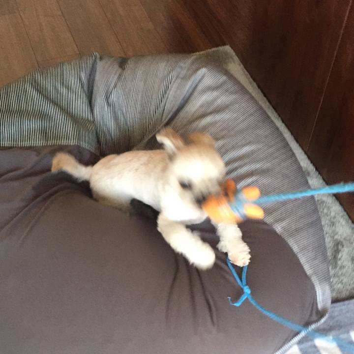 9f815c68 2635 49af b8c4 5ec1c485c5fa 1531138315620