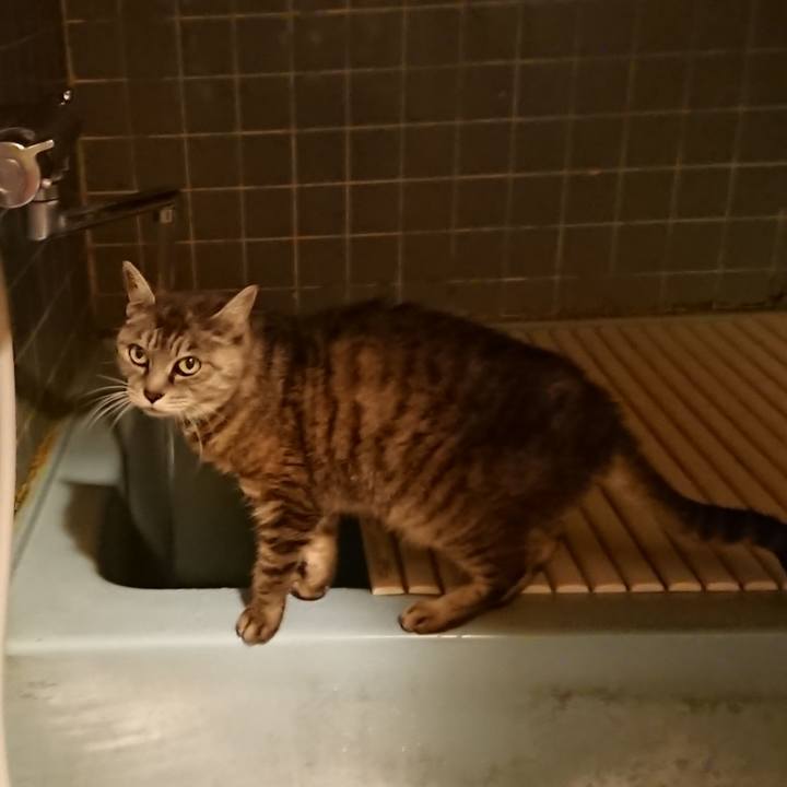 9f816d0f 99e3 4209 8be2 5791482c5245 1570270848262