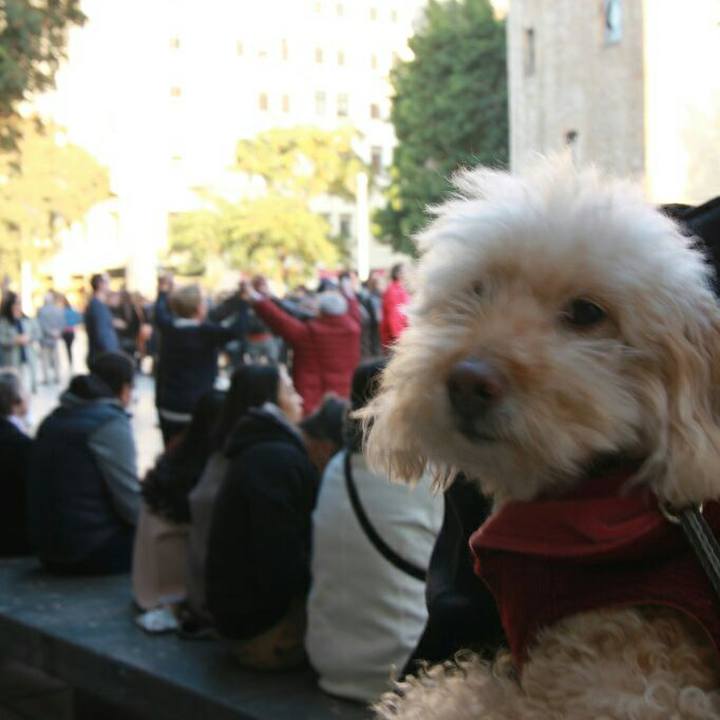 9f817b84 9d86 4732 87c5 60e422dbd96e 1581873539119