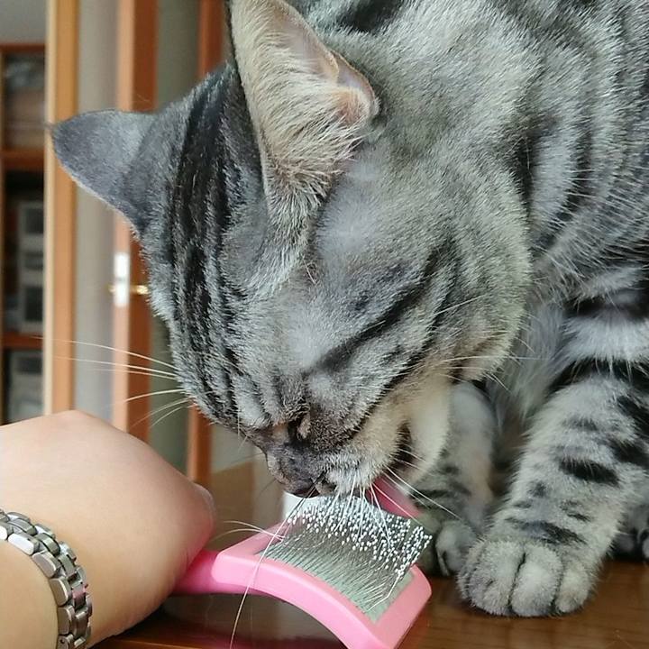 9f81968c 43c7 4e16 be14 4dd56b94d95b 1557195359081