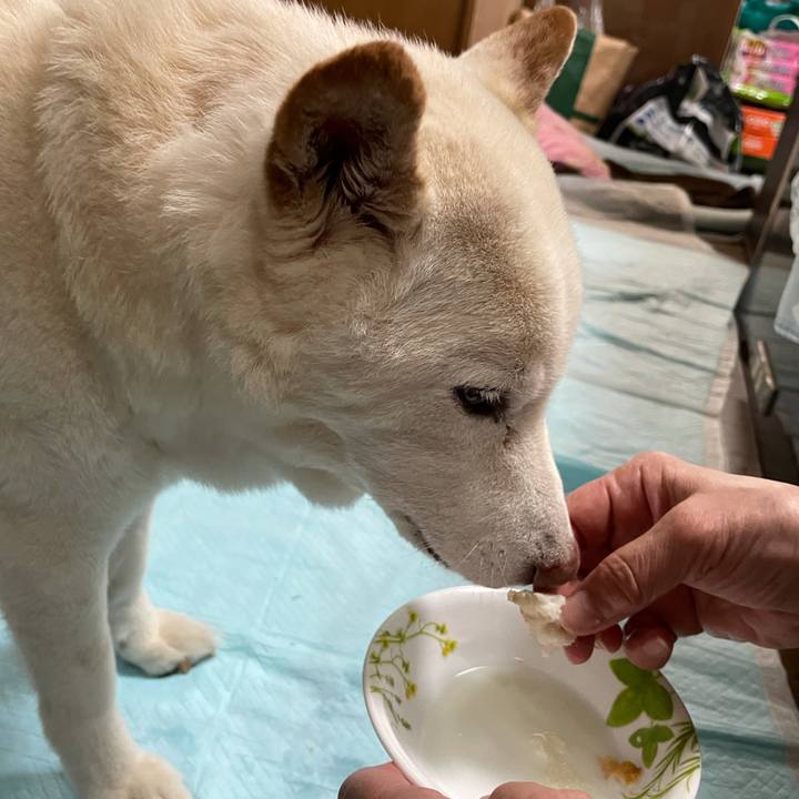 9f819cf6 e656 4916 9e41 1f19c4dcdbee 1636439076890