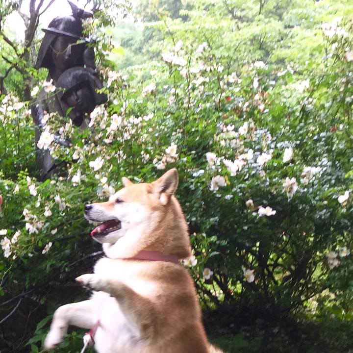 9f81b3f6 c8d8 4eb6 a36d 091f67246393 1563713967363