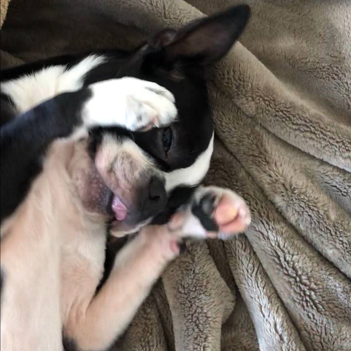 9f81c547 f736 4f9c 87b4 83a01b630f84 1527849725655