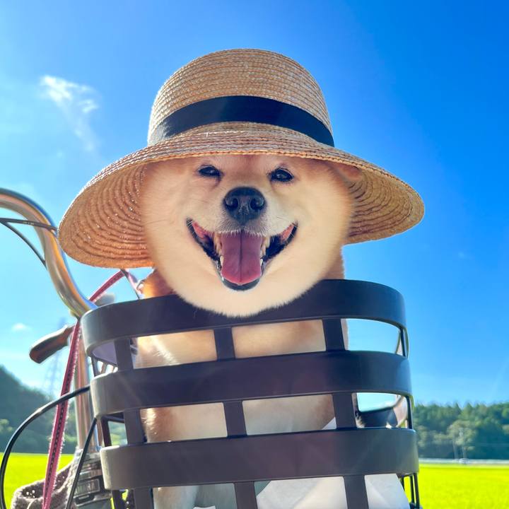 9f81c9d8 d9cf 4518 925c c95d87f14335 1662185820933