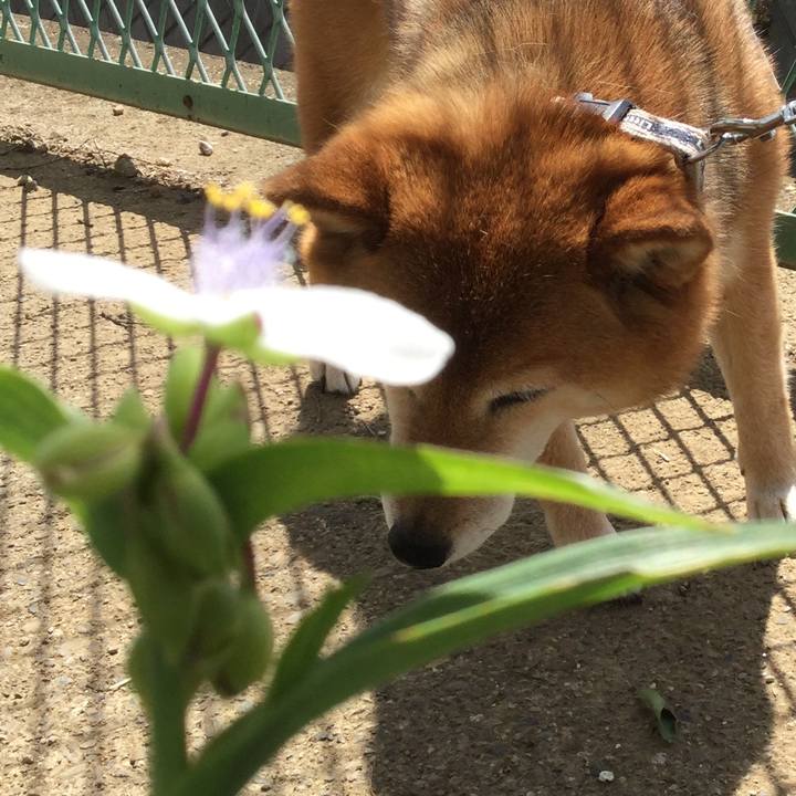 9f81e180 8017 4adc bd3b 5e459fabb6d4 1560819654240