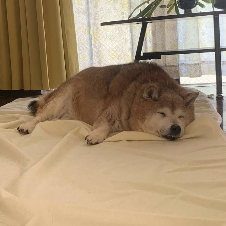 9f81f5c9 4b87 4828 849d 7b7ce9fc0813 1655019873831