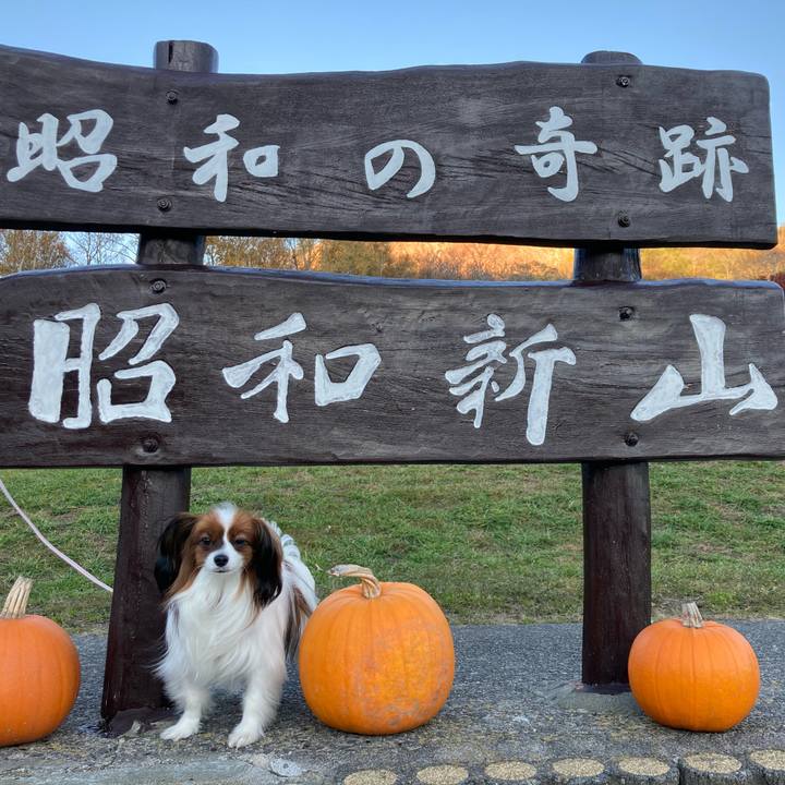 9f81fa41 ca00 46f0 a522 aa0399af2488 1636181792627