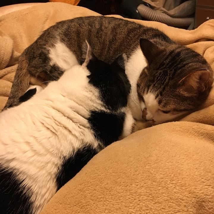 9f821145 4a06 4008 b2ec 84a0b1614113 1513669519155