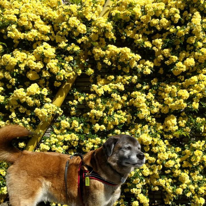 9f82155a a7ea 414c 82ba 97368c6e3b12 1586997957615