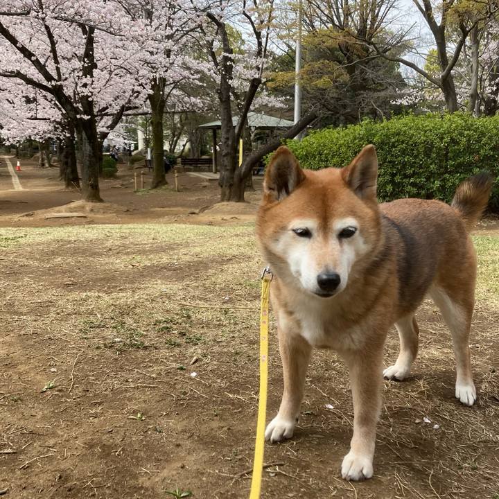 9f821af3 1e63 4e44 ad20 4bfffe9711fc 1648696393579