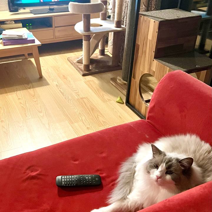 9f823a5f 86af 4cdb 80f7 363771d36b09 1651563238684