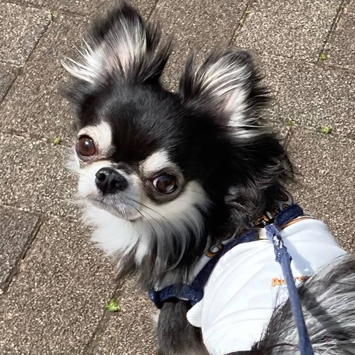 9f824024 f0e8 489b 9cd8 41a84144b330 1681400463633