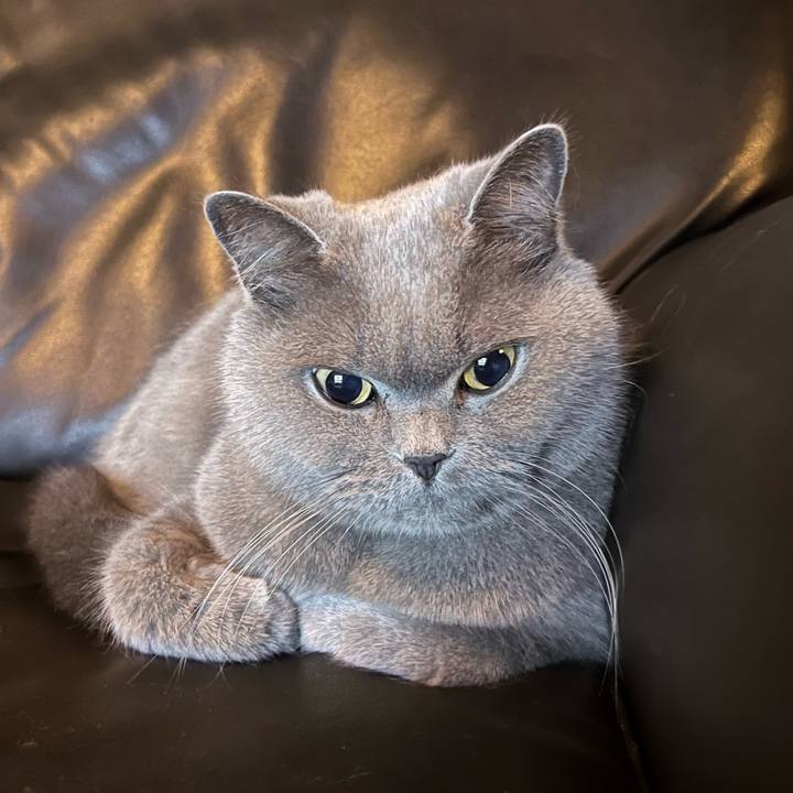 9f82a88e ad4b 40ad bcb5 6a75a30131af 1637840038886