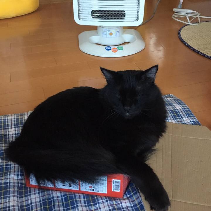 9f82b27b d84f 4a66 b915 5b30205123fd 1508111713815