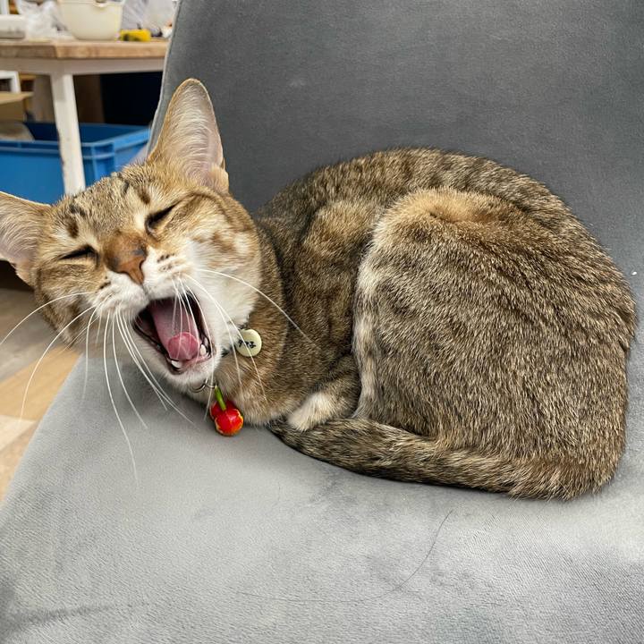 9f82b559 7587 4f12 a4b0 079997ab9315 1681783256329