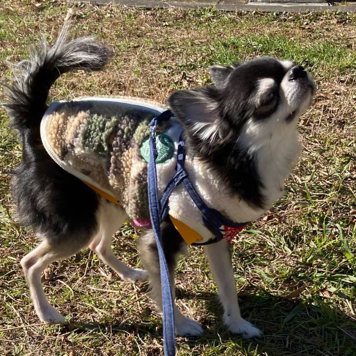 9f82f870 b49d 4225 9a27 1961404db0e5 1671979217990