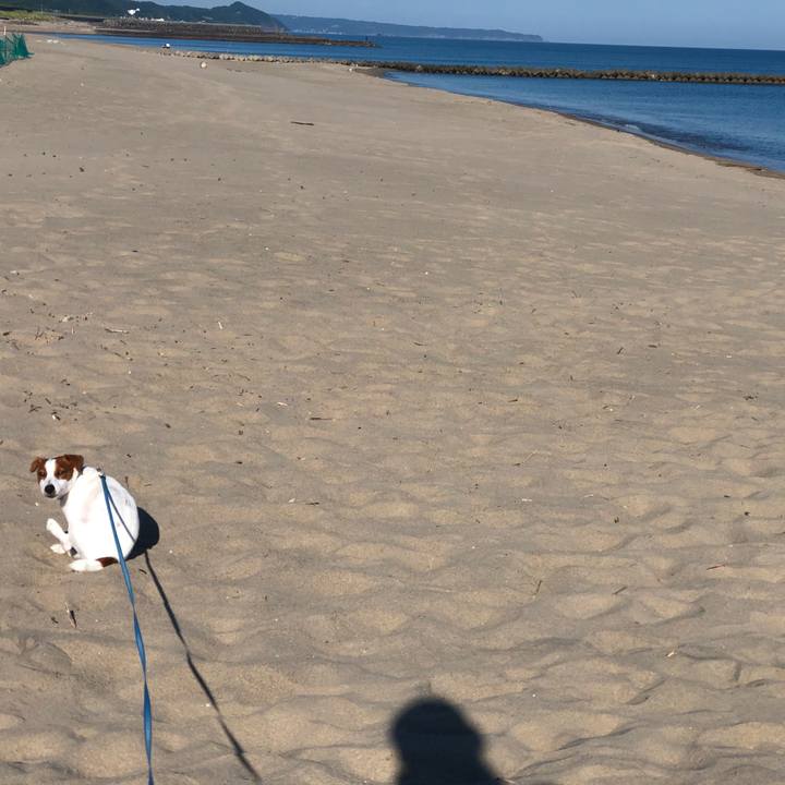 9f82fc19 b32b 41ec 91ec f3a3fe99df11 1565744045989