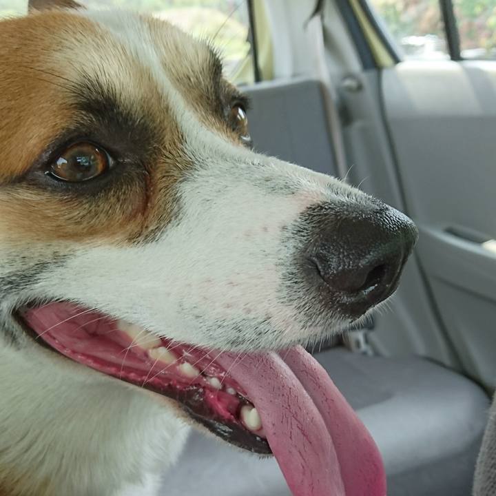 9f82fe24 ed36 4f41 8fd3 8e9a714bb54c 1596935140928