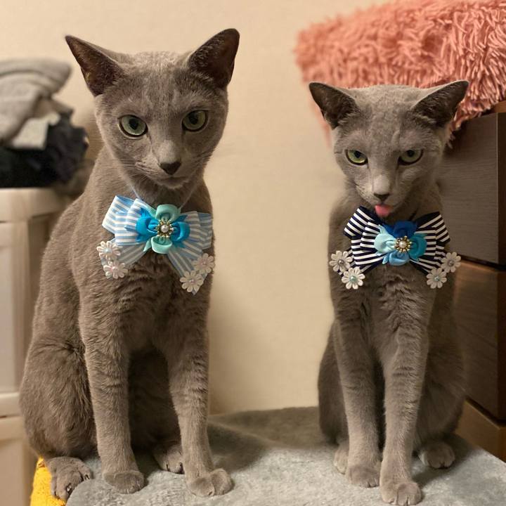 9f830bfc 0dd4 46f9 bd4c 5e676b406f3f 1730037273397