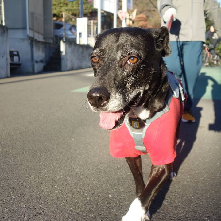 9f830e89 dc43 4702 9a53 3af16086d418 1734917694639