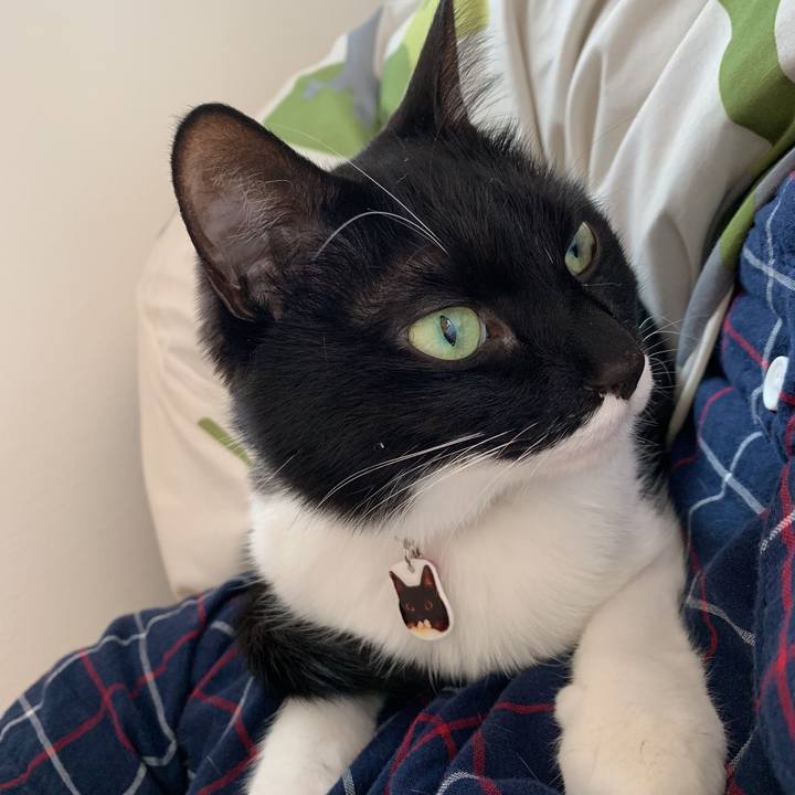 9f831399 3955 46cb 83fd 7ea56bca1c98 1555920534766