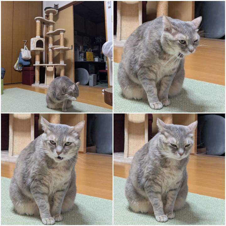 9f831b7e 340c 401b 8098 a9d8fb5eedf4 1739271181596