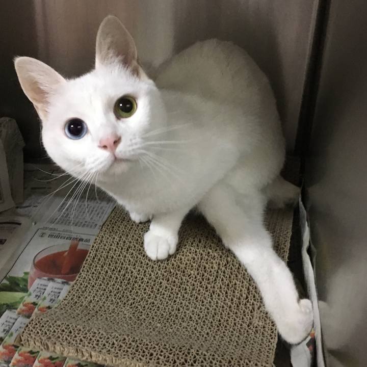 9f832d14 2579 4949 95f3 6102cfc0b79a 1509249108845