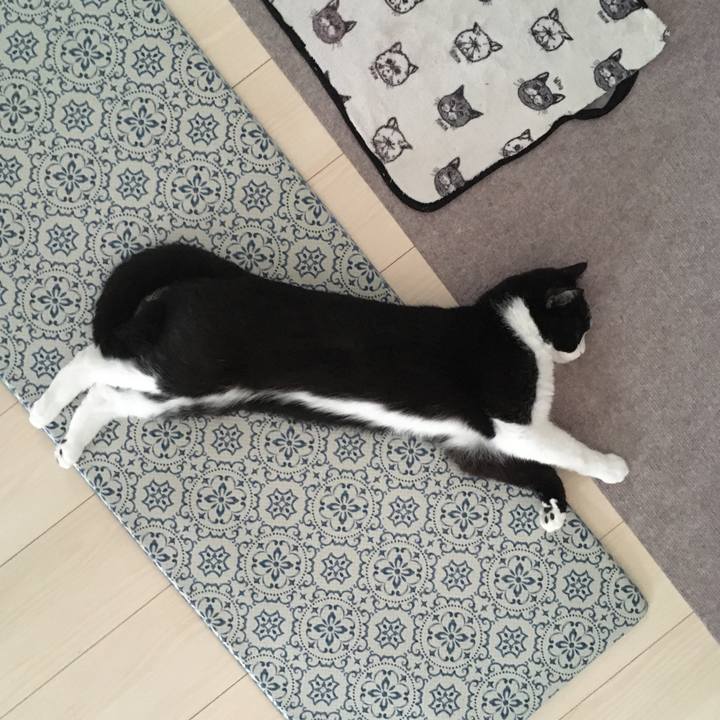 9f832d22 d792 473a bc56 c45086ac66e8 1592032593131