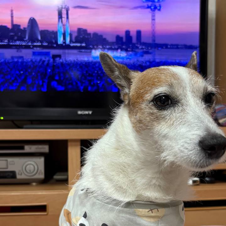 9f833fe0 a9c9 4dcb a2d5 a70e8df02134 1753658490417