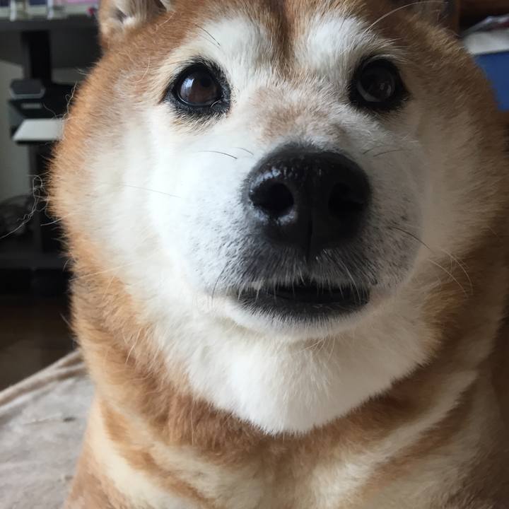 9f83509f e765 48e3 a7fa 20511f805875 1542527122729