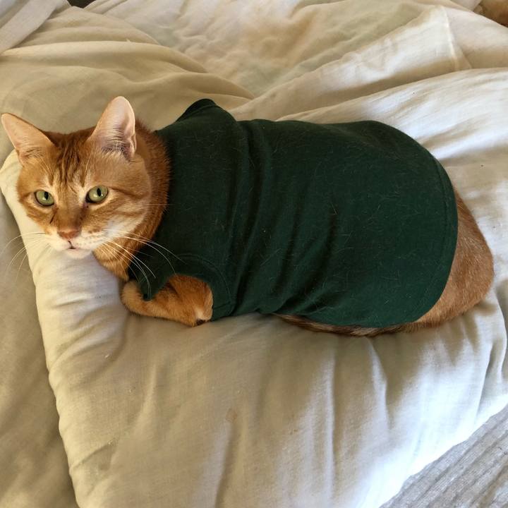 9f835ee2 248e 4d3b 87f5 aa98052ea340 1630964555734