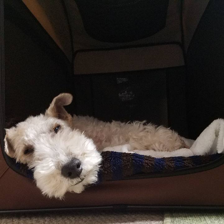 9f83759b 99b6 42ee 8864 65db95142488 1550587744164