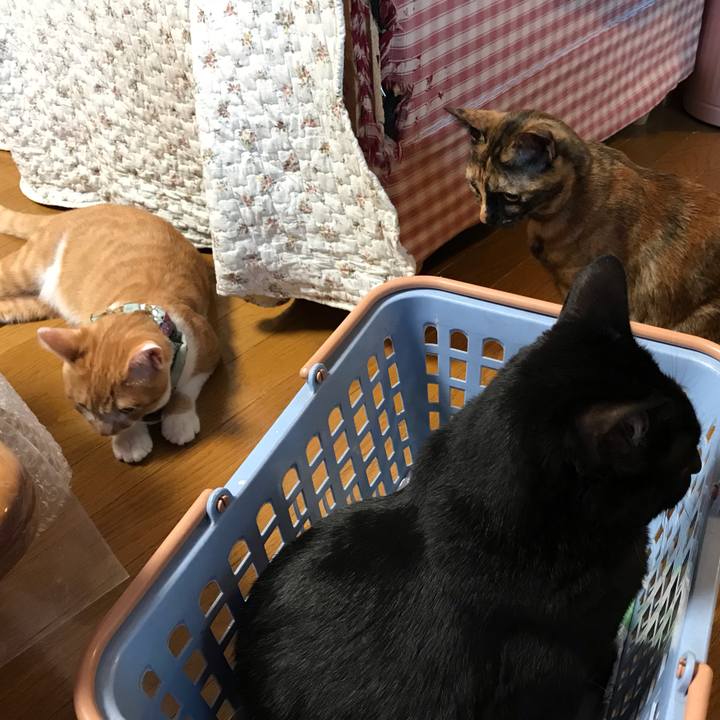 9f83df46 ff17 40e6 9c65 139cd8ea26f2 1670623276611