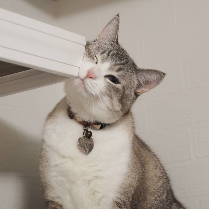 9f841e1d f199 4d73 897c 17101b05ddb6 1600514112291